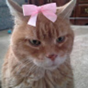 Meet your Posher, Matt